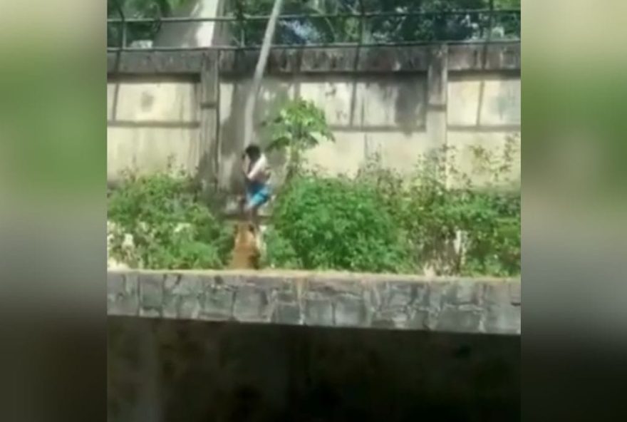 justica-determinou-internacao-de-jovem-morto-por-leoa-em-zoo-um-mes-antes-de-tragedia