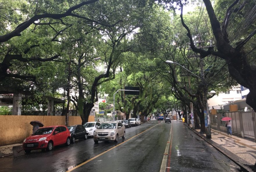 justica-federal-anula-leilao-de-terreno-na-encosta-da-vitoria-em-salvador3A-vitoria-para-a-preservacaoambiental justica-federal-anula-leilao-de-terreno-na-encosta-da-vitoria-em-salvador3A-vitoria-para-a-preservacaoambiental