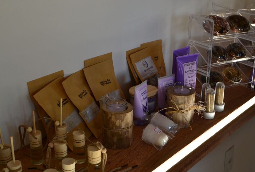 lavandario-em-toledo-encanta-visitantes-e-fortalece-o-turismo-rural-no-oeste3A-conheca-a-historia-da-alfazenda