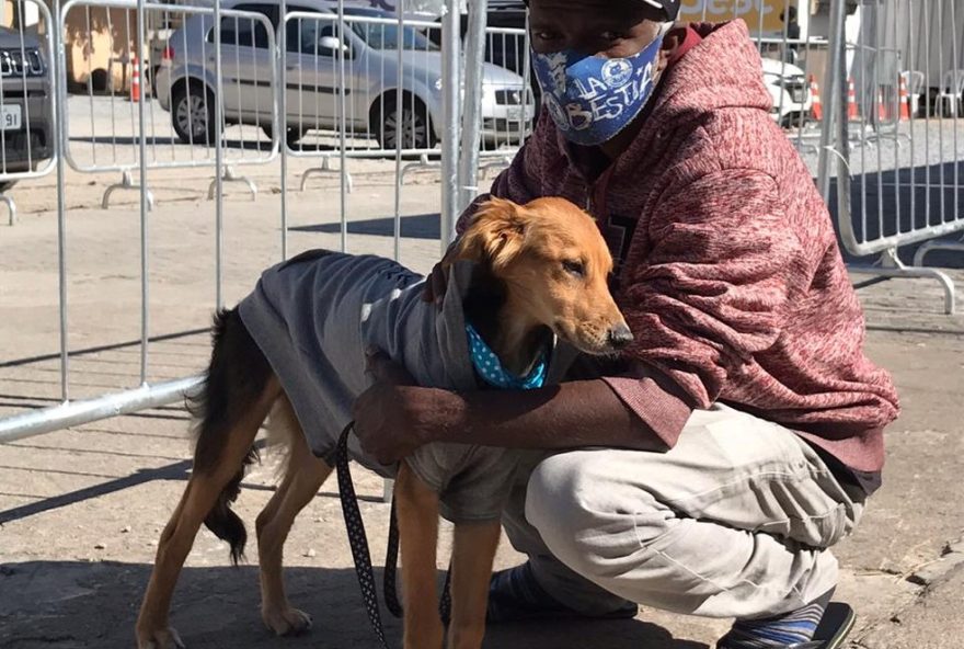 lei-em-bh-garante-espacos-para-animais-em-abrigos-de-pessoas-em-situacao-de-rua lei-em-bh-garante-espacos-para-animais-em-abrigos-de-pessoas-em-situacao-de-rua