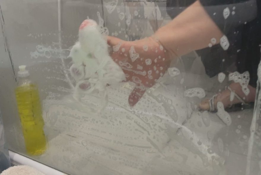 limpar-o-box-do-banheiro-de-forma-eficiente-com-sacola-plastica3A-aprenda-a-tecnica-de-higienizacao limpar-o-box-do-banheiro-de-forma-eficiente-com-sacola-plastica3A-aprenda-a-tecnica-de-higienizacao