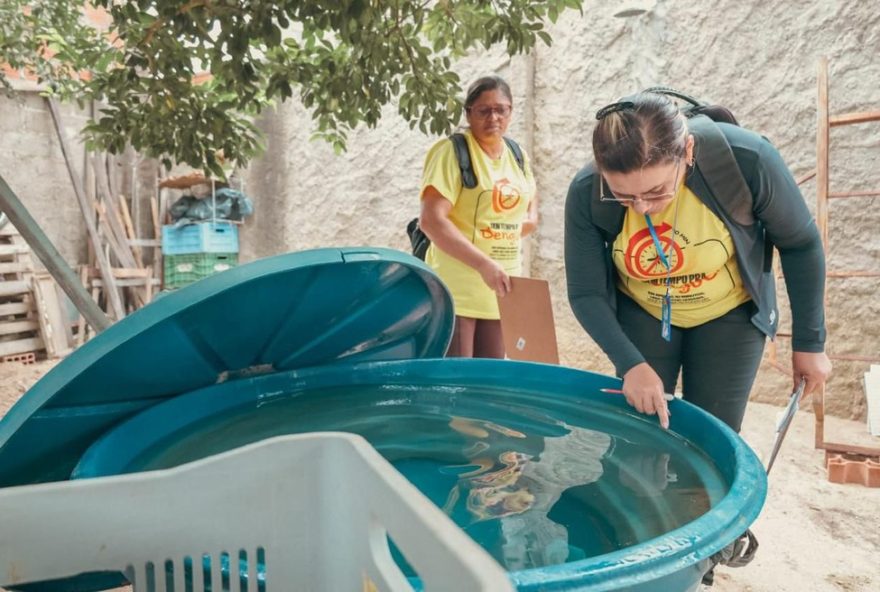 liraa-aponta-baixo-risco-de-infestacao-do-aedes-aegypti-em-petrolina3A-novo-tempo-e-pedra-linda-em-alerta