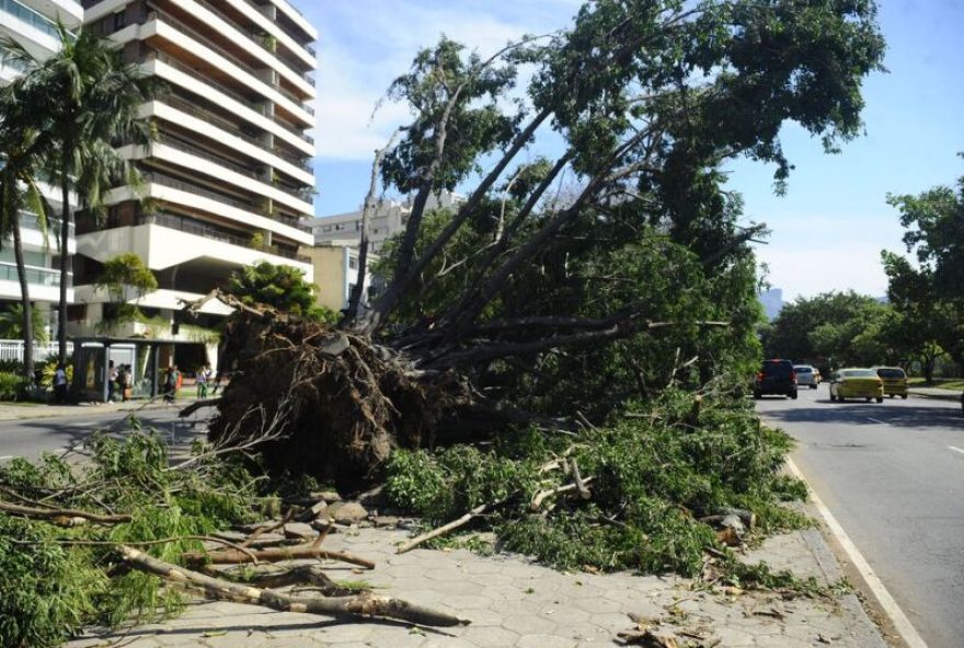 lula-sanciona-lei-permitindo-poda-de-arvores-em-caso-de-omissao-do-orgao-publico O vento forte provocou queda de árvores na avenida Epitácio Pessoa, zona sul da capital fluminense (Tomaz Silva/Agência Brasil)