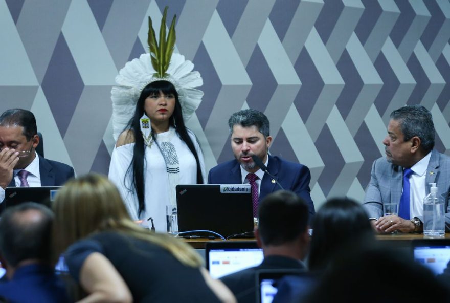 Um pedido coletivo de vista adiou para a próxima quarta-feira ,27, a votação do Projeto de Lei que cria o Marco Temporal indígena
(Foto: Reprodução/ Agência Brasil )