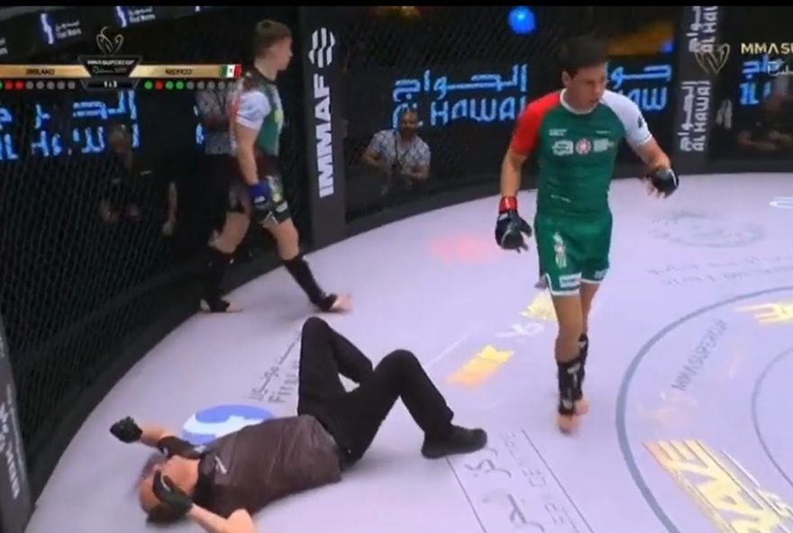 lutador de MMA golpeia árbitro