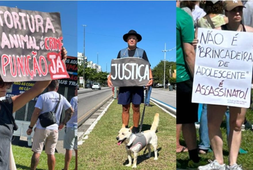 manifestacoes-em-todo-o-brasil-pedem-justica-para-o-caso-do-cao-orelha manifestacoes-em-todo-o-brasil-pedem-justica-para-o-caso-do-cao-orelha