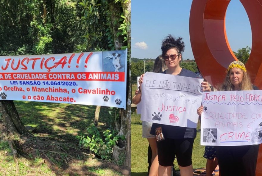 manifestacoes-pedem-justica-para-caes-orelha-e-abacate-no-parana3A-protestos-em-curitiba-e-toledo-clamam-por-punicoes manifestacoes-pedem-justica-para-caes-orelha-e-abacate-no-parana3A-protestos-em-curitiba-e-toledo-clamam-por-punicoes