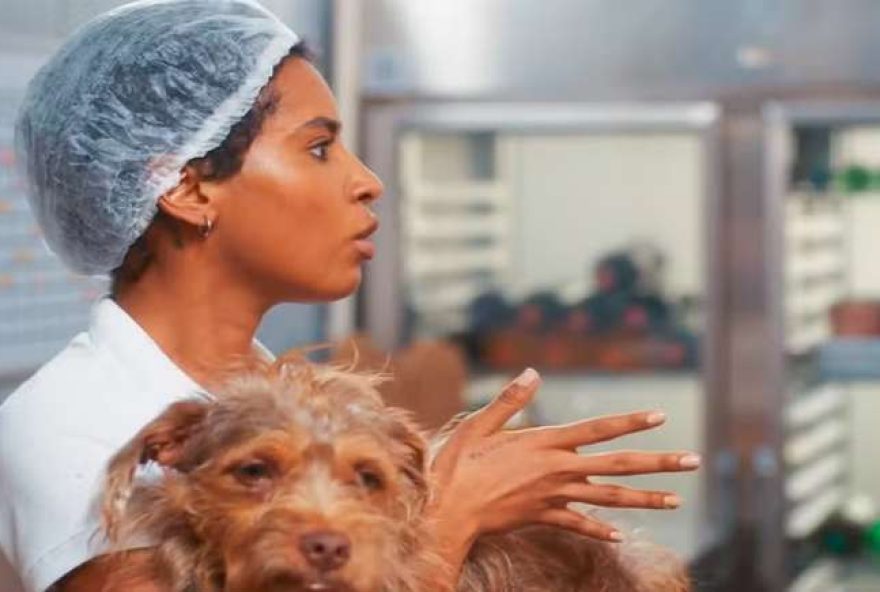 maradona2C-o-cao-estrela-de-22coracao-acelerado222C-veterano-nas-telinhas-da-globo maradona2C-o-cao-estrela-de-22coracao-acelerado222C-veterano-nas-telinhas-da-globo