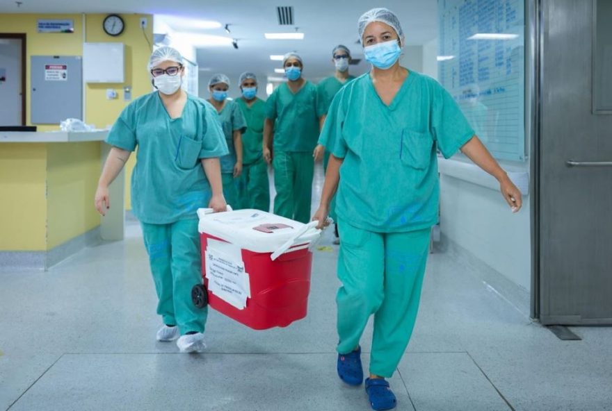 maranhao-realiza-primeiro-transplante-hepatico-intervivos-na-regiao-nordeste3A-avancos-e-recordes-na-area-de-transplantes maranhao-realiza-primeiro-transplante-hepatico-intervivos-na-regiao-nordeste3A-avancos-e-recordes-na-area-de-transplantes