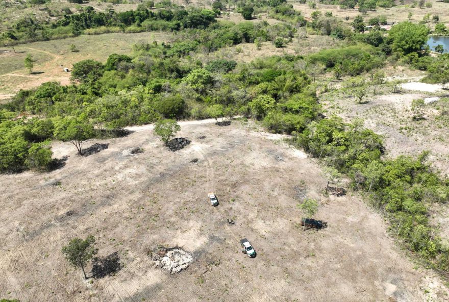 Área de desmatamento flagrada na operação (Foto: Divulgação/MP)