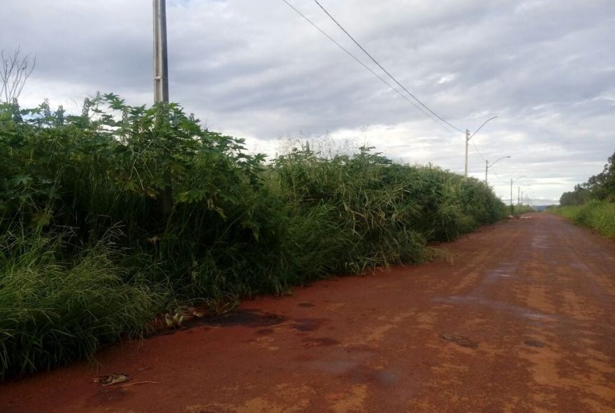 Rua principal do setor Orlando de Moraes