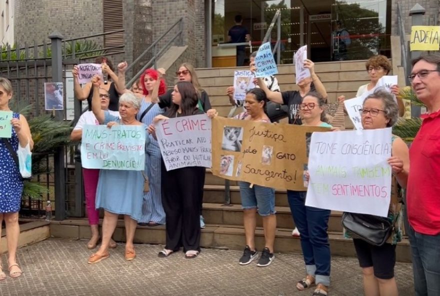 maus-tratos-a-gatos-mobilizam-protetores-de-animais-em-ijui2C-rs3A-reu-responde-em-liberdade-manifestacao-por-justica