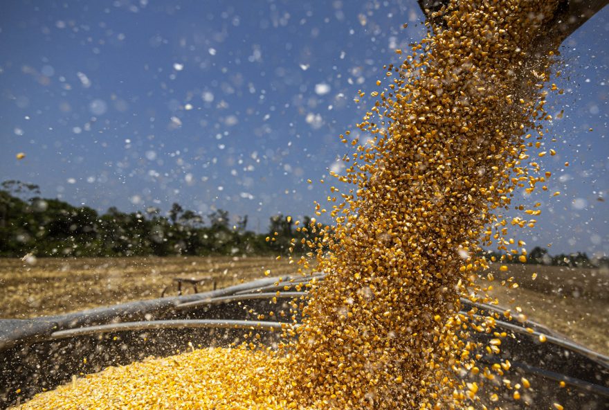 medida-de-baratear-alimentos-e-considerada-inocua-por-associacao