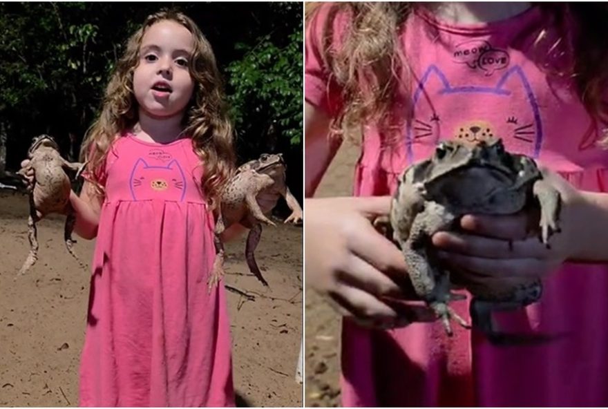 menina-brinca-com-sapos-e-viraliza-nas-redes-sociais3A-conheca-a-historia-de-luiza2C-a-aventureira-das-chacaras