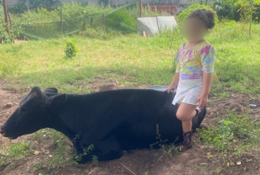 menina-de-7-anos-busca-vaca-de-estimacao-desaparecida-em-boituva-sp