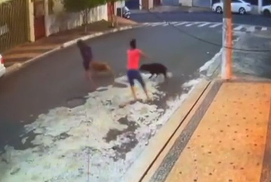 menino-atacado-por-pit-bulls-em-sp-passara-por-novas-cirurgias menino-atacado-por-pit-bulls-em-sp-passara-por-novas-cirurgias