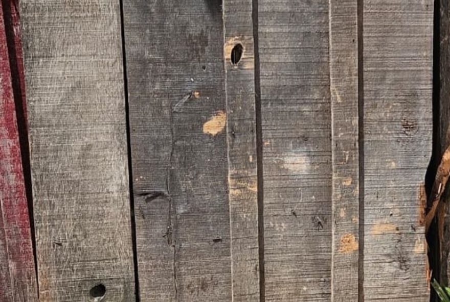 menino-de-10-anos-e-morto-em-ataque-a-tiros-no-rs3A-mae-e-irma-ficam-feridas menino-de-10-anos-e-morto-em-ataque-a-tiros-no-rs3A-mae-e-irma-ficam-feridas