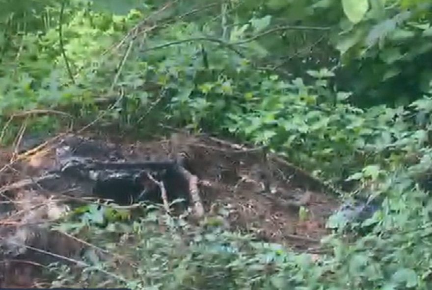 menino-de-13-anos-morre-ao-levar-choque-ao-buscar-bola-de-futebol menino-de-13-anos-morre-ao-levar-choque-ao-buscar-bola-de-futebol