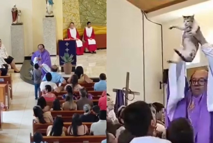 menino-pede-para-padre-abencoar-gato-durante-missa-e-cena-diverte-paroquia-no-ceara menino-pede-para-padre-abencoar-gato-durante-missa-e-cena-diverte-paroquia-no-ceara