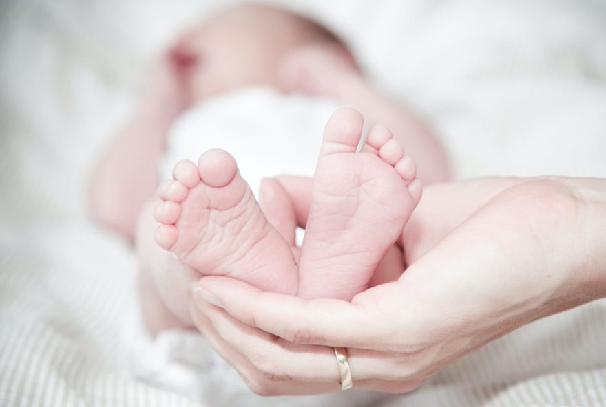menor-numero-de-nascimentos-impacta-dinamicas-familiares-no-ceara3A-analise-de-dados-ibge-2023