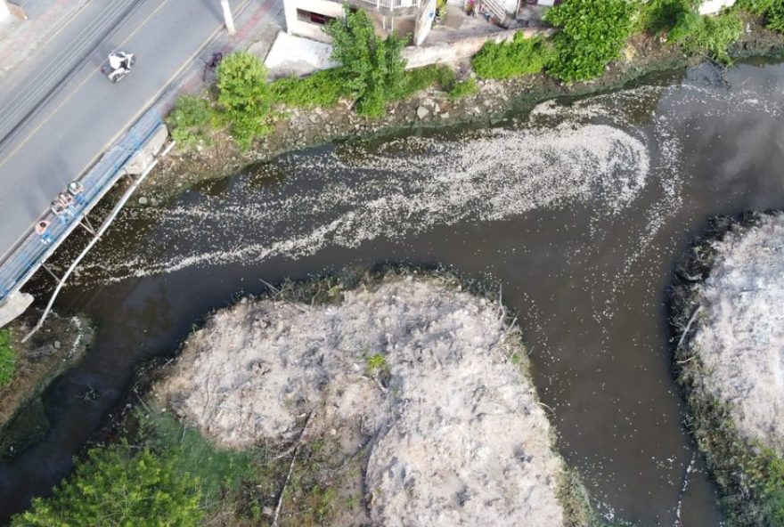 milhares-de-peixes-mortos-no-rio-imaruim-em-palhoca3A-ima-investiga-causas-da-tragedia-ambiental.-medidas-de-precaucao-recomendadas milhares-de-peixes-mortos-no-rio-imaruim-em-palhoca3A-ima-investiga-causas-da-tragedia-ambiental.-medidas-de-precaucao-recomendadas