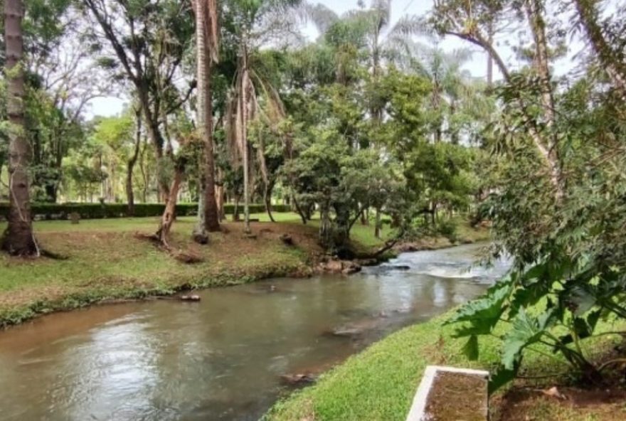 mineracao-impulsionara-desenvolvimento-socioeconomico-em-caldas3A-projeto-caldeira-da-meteoric-promete-gerar-empregos-e-renda