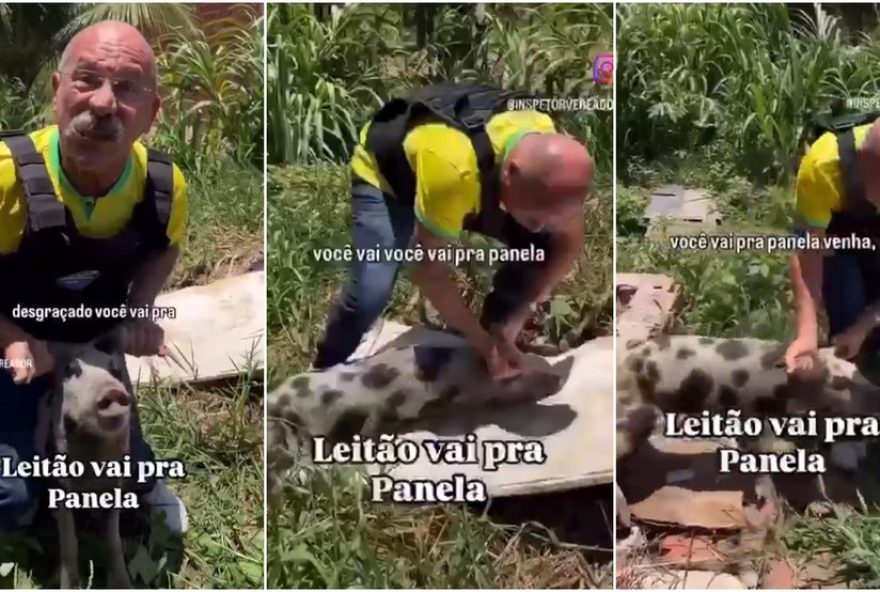 ministerio-publico-eleitoral-pede-condenacao-de-vereador-por-crimes-eleitorais-e-maus-tratos3A-saiba-mais
