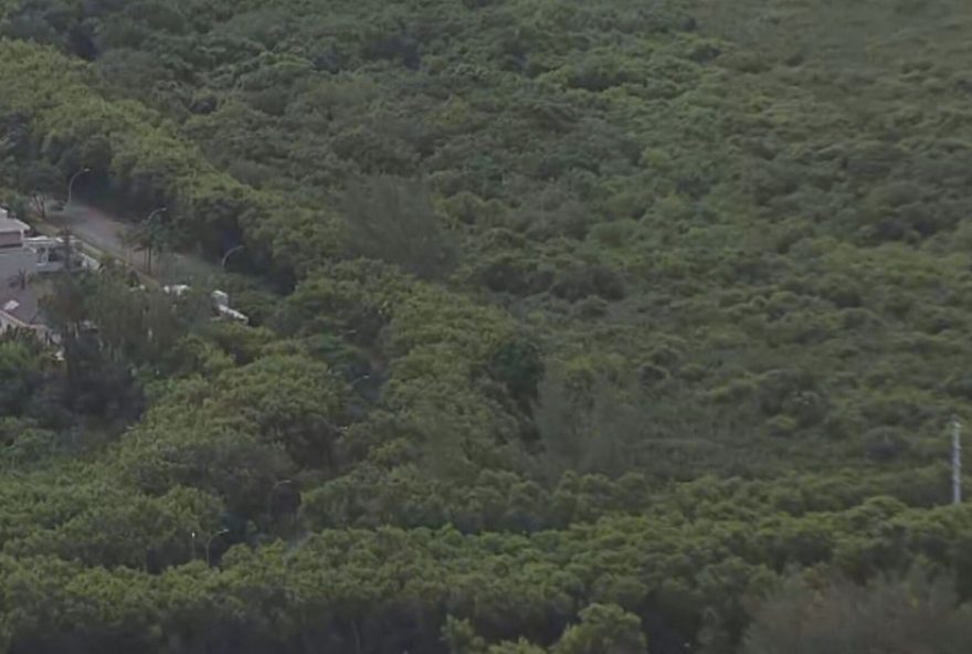 ministerio-publico-recomenda-suspensao-de-licencas-para-projeto-imobiliario-no-bosque-da-barra ministerio-publico-recomenda-suspensao-de-licencas-para-projeto-imobiliario-no-bosque-da-barra