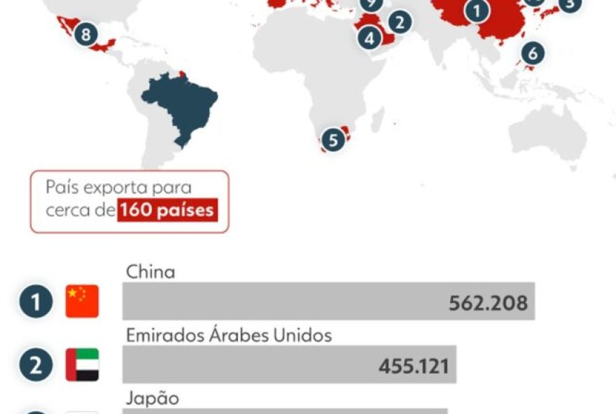 ministro-informa-que-a-china-estuda-protocolos-para-revisao-de-restricoes-a-carne-de-frango-do-brasil