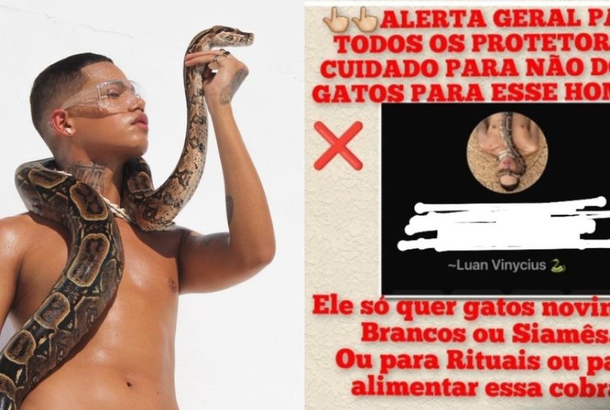 modelo-denuncia-fake-news-de-alimentar-cobra-com-gatos3A-policia-civil-investiga-caso-de-racismo-religioso