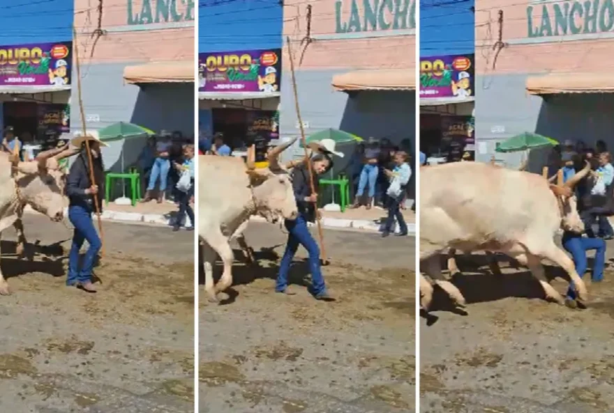 Mulher é atingida por boi durante desfile em Ouro Verde de Goiás