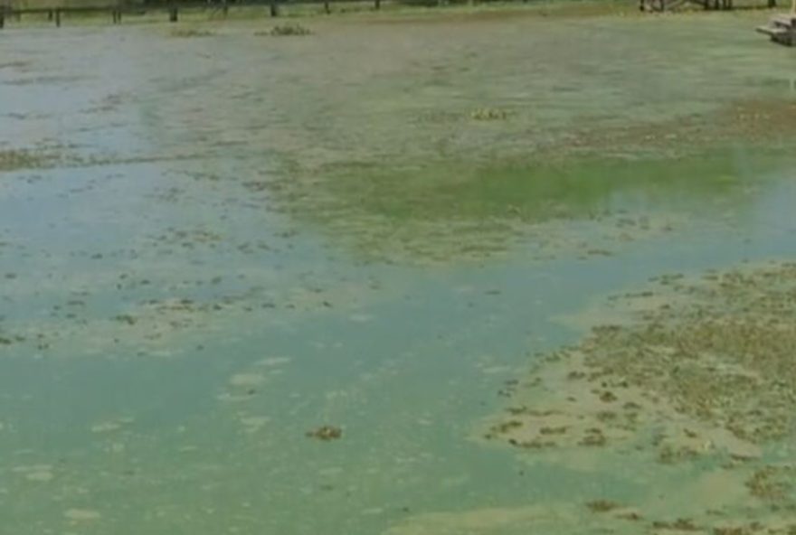 moradores-de-penapolis-preocupados-com-agua-esverdeada-e-mau-cheiro-no-ribeirao-lajeado2C-afluente-do-rio-tiete