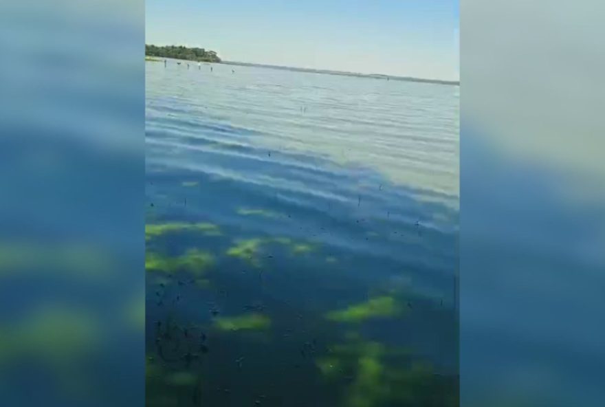 moradores-registram-rio-tiete-com-coloracao-esverdeada-em-adolfo3A-entenda-o-motivo moradores-registram-rio-tiete-com-coloracao-esverdeada-em-adolfo3A-entenda-o-motivo