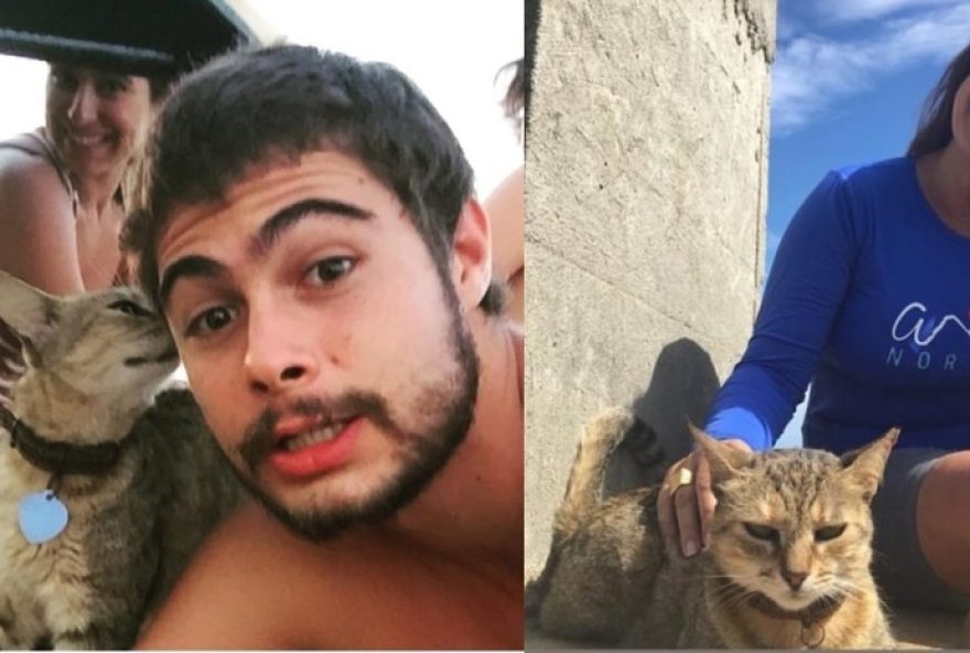 morre-sardinha2C-a-famosa-gata-guardia-de-noronha3A-homenagens-emocionam-ilha