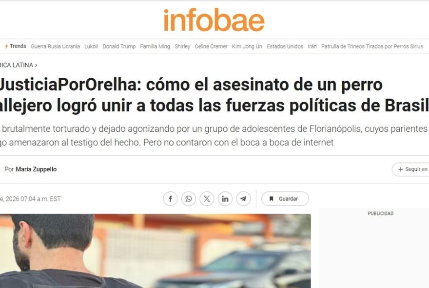 morte-de-cao-orelha-em-florianopolis3A-adolescente-indiciados-e-debate-internacional morte-de-cao-orelha-em-florianopolis3A-adolescente-indiciados-e-debate-internacional