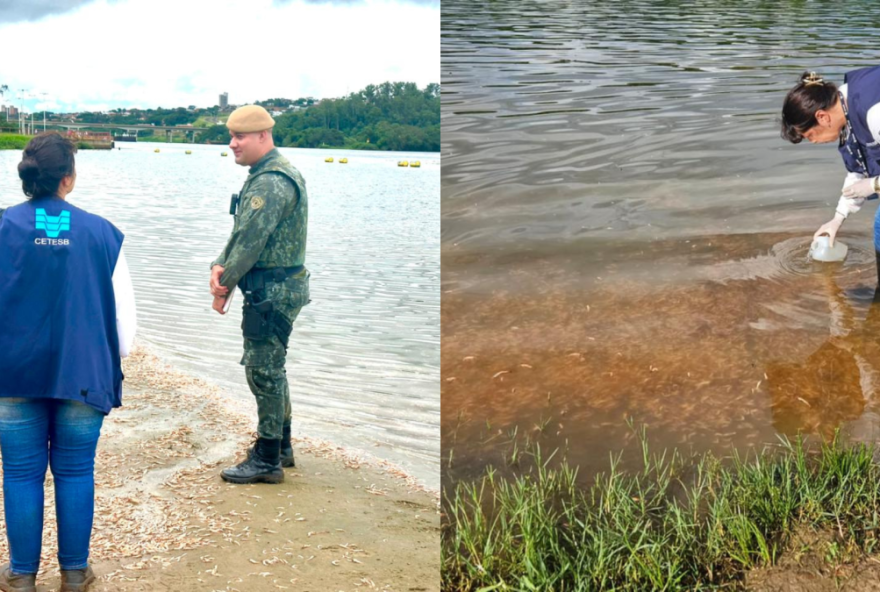 morte-em-massa-de-camaroes-no-rio-tiete3A-cenario-preocupante-e-acoes-urgentes-de-preservacao-dos-recursos-hidricos morte-em-massa-de-camaroes-no-rio-tiete3A-cenario-preocupante-e-acoes-urgentes-de-preservacao-dos-recursos-hidricos