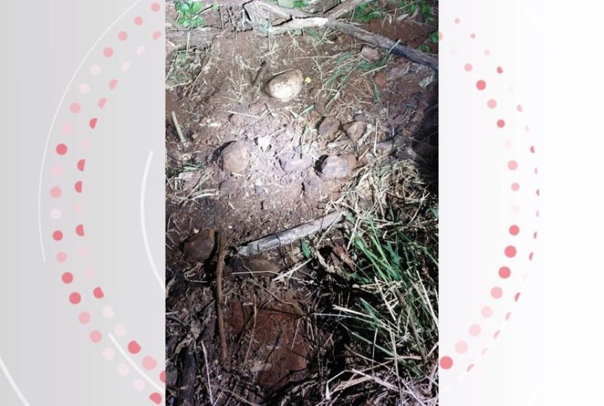 morto-a-facadas-em-cascavel3A-suspeito-usa-carro-da-vitima-para-ocultar-corpo