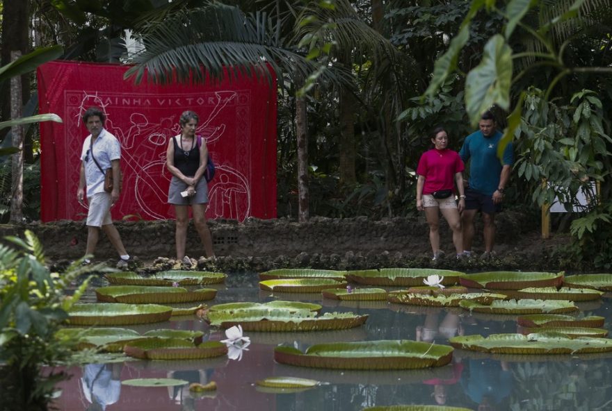 mostra-22um-rio-nao-existe-sozinho22-no-museu-goeldi3A-ciencia2C-natureza-e-arte-conectadas-em-intervencao-artistica-na-floresta