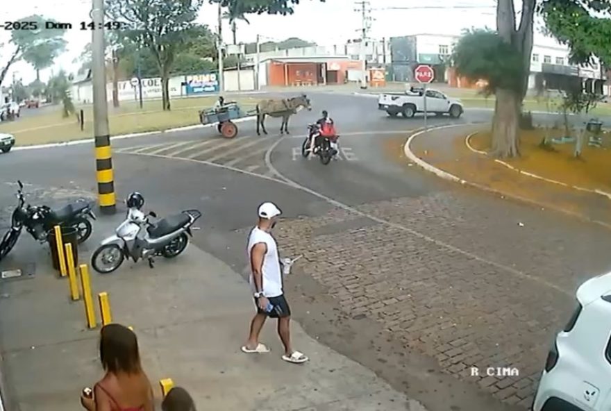 motociclista-desobedece-sinalizacao-e-atinge-equino-em-franca3A-importancia-da-seguranca-no-transito