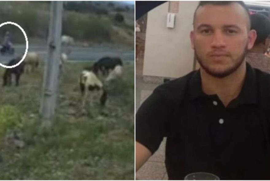 motociclista-morre-ao-colidir-com-cavalo-na-ce-1872C-mesma-rodovia-em-que-mae-faleceu3A-investigacoes-em-andamento motociclista-morre-ao-colidir-com-cavalo-na-ce-1872C-mesma-rodovia-em-que-mae-faleceu3A-investigacoes-em-andamento