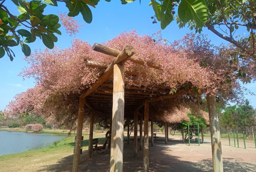 motofest-em-goiania-ocupa-cinco-parques-neste-domingo-com-shows2C-transmissao-do-motogp-e-atividades-culturais motofest-em-goiania-ocupa-cinco-parques-neste-domingo-com-shows2C-transmissao-do-motogp-e-atividades-culturais