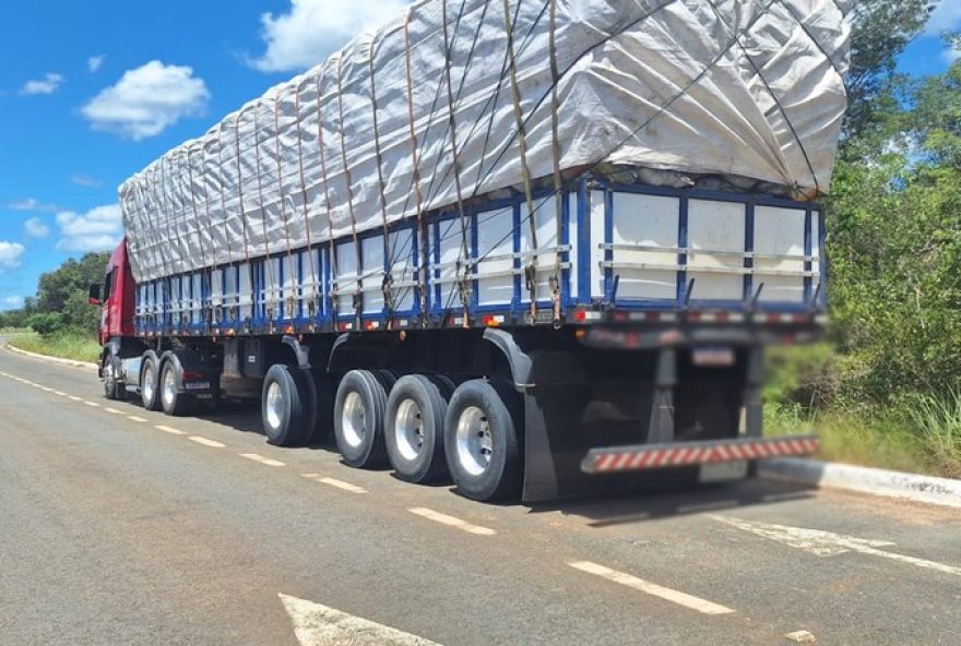 motorista-de-carreta-e-preso-com-rebite-em-taiobeiras3A-carga-de-carvao-apreendida