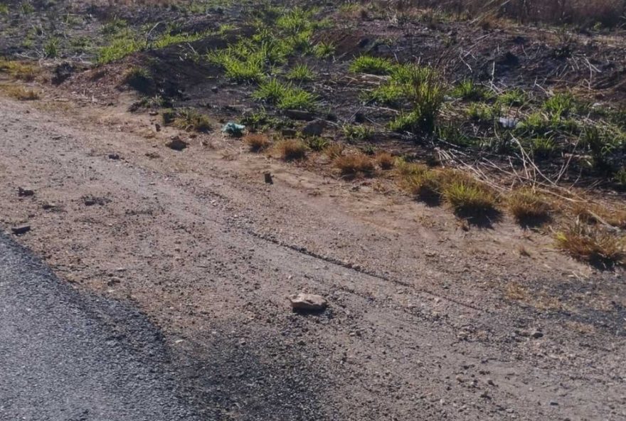 motorista-e-atropelado-ao-trocar-pneu-na-br-1353A-alerta-para-seguranca-nas-estradas