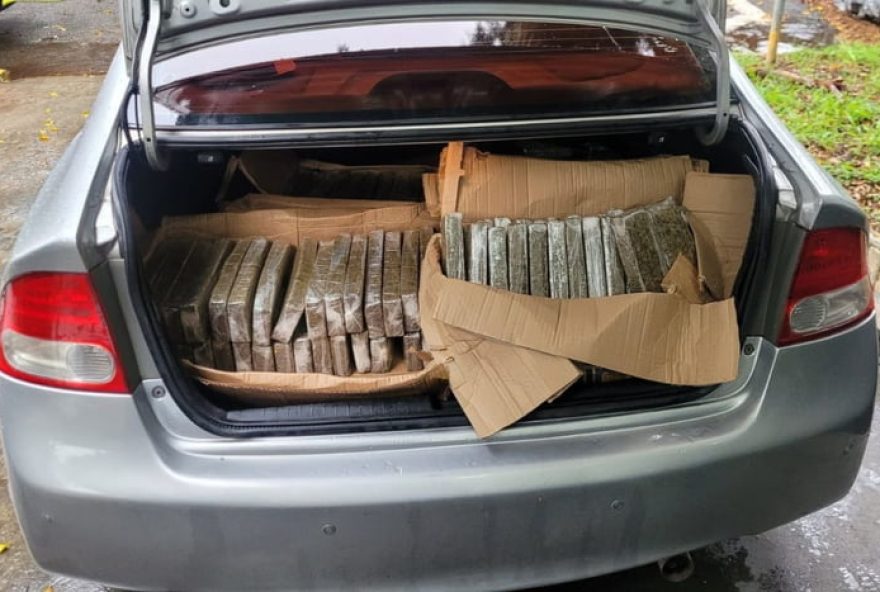 motorista-e-detido-com-100-kg-de-maconha-na-marginal-tiete-em-sao-paulo