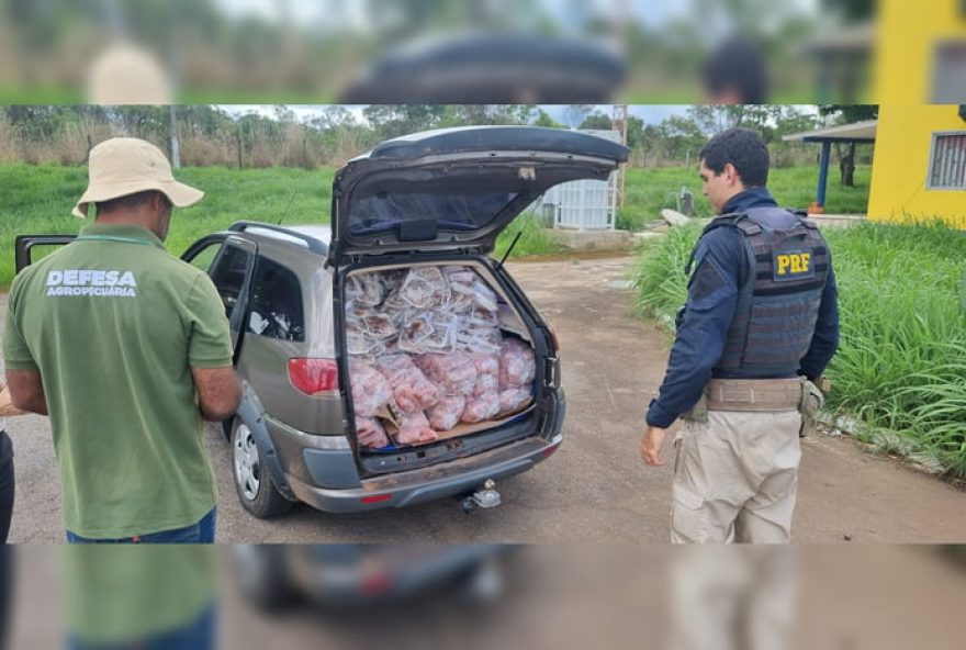 motorista-e-flagrado-com-500kg-de-carne-impropria-em-goias3A-prf-alerta-para-transporte-correto.-acompanhe-as-noticias-do-df