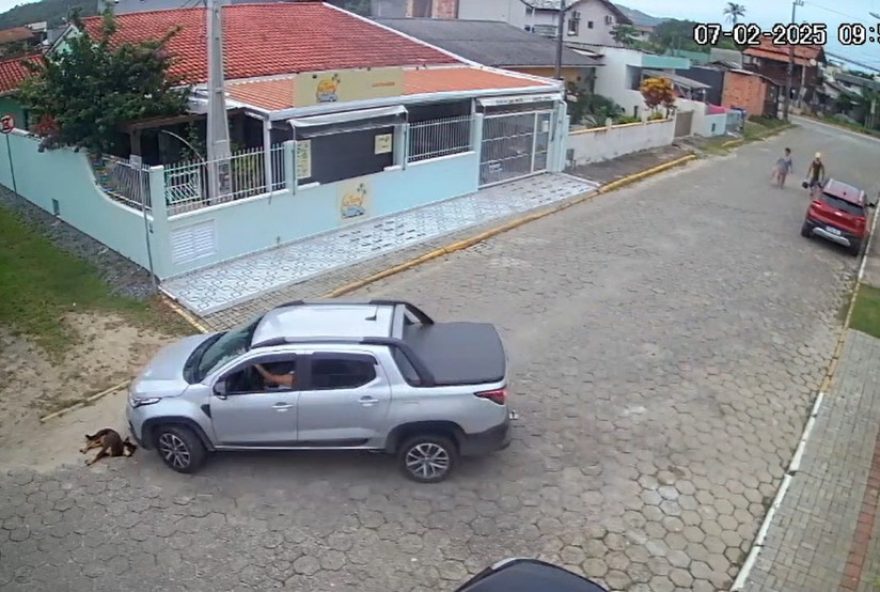 motorista-e-preso-por-atropelar-cachorro-em-sc3A-video.-cao-fica-gravemente-ferido-em-bombinhas2C-e-homem-de-72-anos-agiu-com-intencao