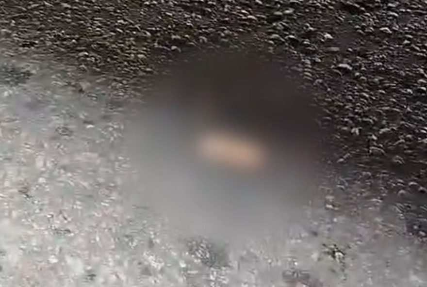 motorista-perde-dedo-em-acidente-com-onibus-em-manaus3A-alerta-para-seguranca-no-transito motorista-perde-dedo-em-acidente-com-onibus-em-manaus3A-alerta-para-seguranca-no-transito