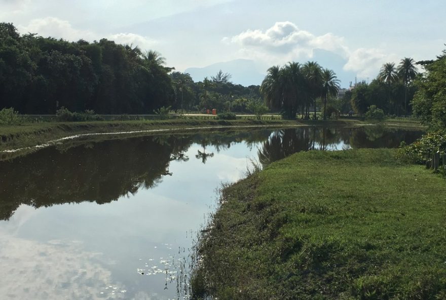 mp-pede-que-prefeitura-nao-autorize-construcao-de-condominio-com-corte-de-arvores mp-pede-que-prefeitura-nao-autorize-construcao-de-condominio-com-corte-de-arvores