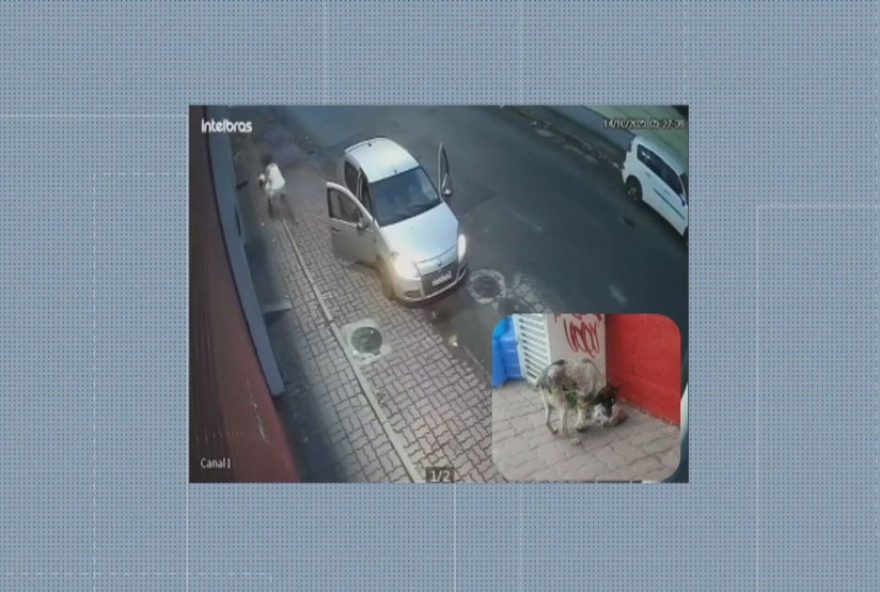 mulher-abandona-cadela-com-pata-quebrada-em-video-viral-na-taquara3A-resgate-e-tratamento-em-andamento