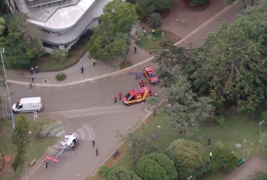 mulher-atingida-por-arvore-no-ibirapuera-recebe-alta-apos-acidente-grave mulher-atingida-por-arvore-no-ibirapuera-recebe-alta-apos-acidente-grave